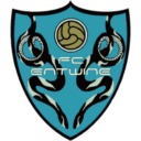 FC Entwine